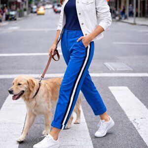 Talbots Relaxed Chino Pants Blue Side Stripe Size 10P Cotton Stretch Chic Casual
